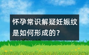 懷孕常識解疑：妊娠紋是如何形成的？
