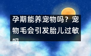 孕期能養(yǎng)寵物嗎？寵物毛會(huì)引發(fā)胎兒過(guò)敏嗎？