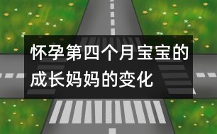 懷孕第四個(gè)月寶寶的成長(zhǎng)、媽媽的變化