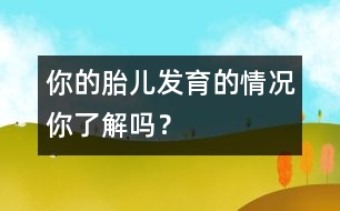 你的胎兒發(fā)育的情況你了解嗎？