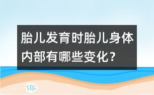 胎兒發(fā)育時：胎兒身體內(nèi)部有哪些變化？