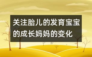 關(guān)注胎兒的發(fā)育：寶寶的成長、媽媽的變化