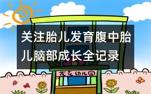 關注胎兒發(fā)育：腹中胎兒腦部成長全記錄
