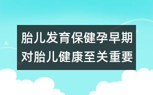 胎兒發(fā)育保?。涸性缙趯μ航】抵陵P(guān)重要