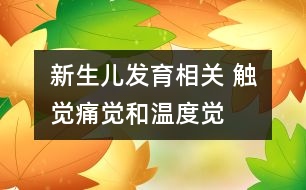 新生兒發(fā)育相關(guān)： 觸覺(jué)、痛覺(jué)和溫度覺(jué)