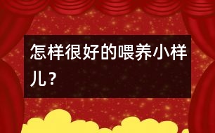 怎樣很好的喂養(yǎng)小樣兒？