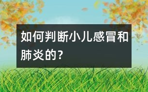 如何判斷小兒感冒和肺炎的？