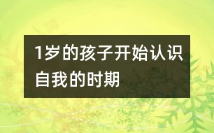 1歲的孩子開始認(rèn)識(shí)自我的時(shí)期