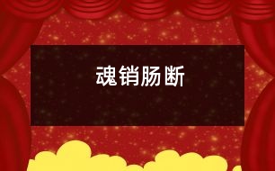 魂銷(xiāo)腸斷