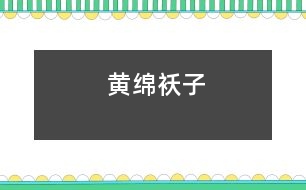 黃綿襖子