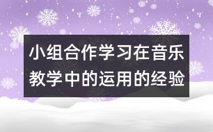 小組合作學(xué)習(xí)在音樂(lè)教學(xué)中的運(yùn)用的經(jīng)驗(yàn)和相關(guān)建議