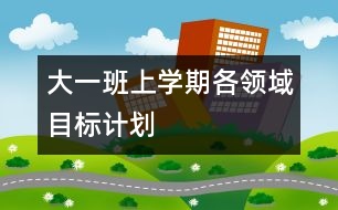 大一班上學期各領域目標計劃