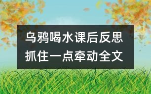 烏鴉喝水課后反思 抓住一點(diǎn)牽動全文