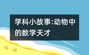 學(xué)科小故事:動(dòng)物中的數(shù)學(xué)“天才”