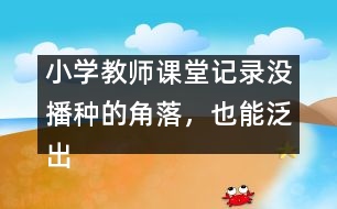 小學(xué)教師課堂記錄：沒播種的角落，也能泛出綠意