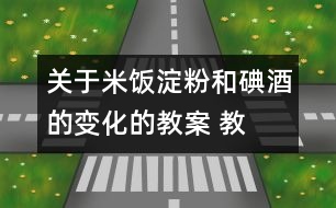 關(guān)于米飯、淀粉和碘酒的變化的教案 教學(xué)設(shè)計  新教科版六年級下冊科學(xué)教案