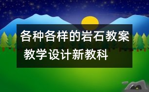 各種各樣的巖石教案 教學(xué)設(shè)計(jì)—新教科版四年級下冊科學(xué)教案