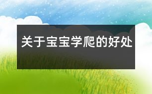 關于寶寶學爬的好處