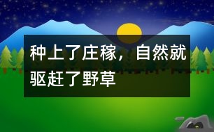 種上了莊稼，自然就驅(qū)趕了野草