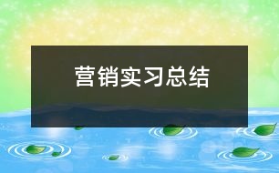 營銷實習總結(jié)