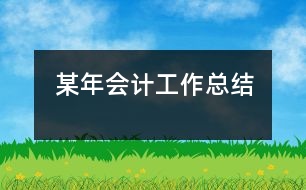 某年會計(jì)工作總結(jié)