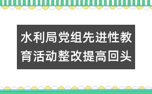 水利局黨組先進性教育活動整改提高回頭看自查報告