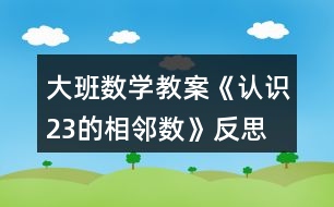 大班數(shù)學(xué)教案《認(rèn)識(shí)2、3的相鄰數(shù)》反思