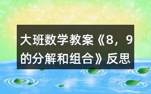 大班數(shù)學教案《8，9的分解和組合》反思