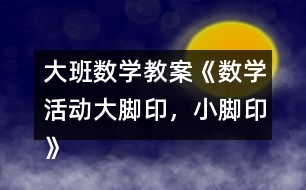 大班數(shù)學(xué)教案《數(shù)學(xué)活動大腳印，小腳印》反思