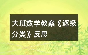 大班數(shù)學教案《逐級分類》反思