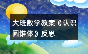 大班數(shù)學教案《認識圓錐體》反思