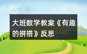 大班數(shù)學教案《有趣的拼搭》反思