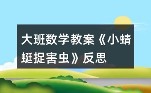 大班數學教案《小蜻蜓捉害蟲》反思