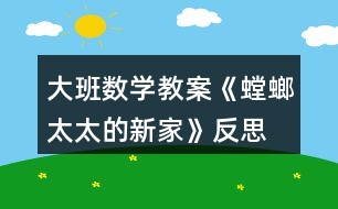大班數(shù)學教案《螳螂太太的新家》反思