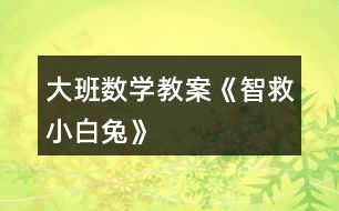 大班數(shù)學教案《智救小白兔》