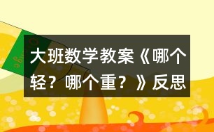 大班數(shù)學(xué)教案《哪個輕？哪個重？》反思