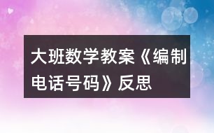 大班數(shù)學教案《編制電話號碼》反思