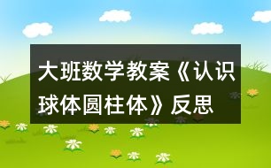 大班數(shù)學(xué)教案《認(rèn)識球體、圓柱體》反思