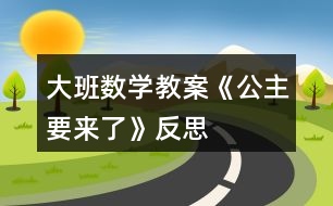 大班數學教案《公主要來了》反思