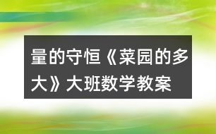 量的守恒《菜園的多大》大班數(shù)學教案