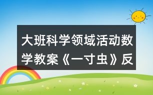 大班科學(xué)領(lǐng)域活動(dòng)數(shù)學(xué)教案《一寸蟲》反思