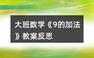 大班數學《9的加法》教案反思