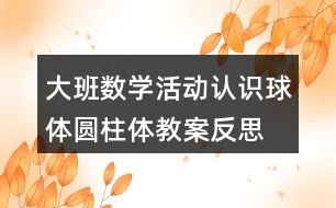 大班數(shù)學活動認識球體圓柱體教案反思
