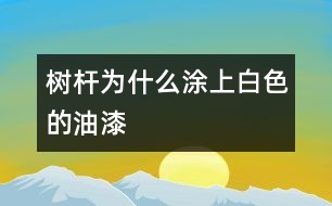 樹(shù)桿為什么涂上白色的油漆
