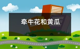牽牛花和黃瓜