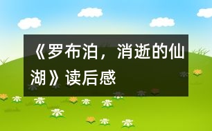 《羅布泊，消逝的仙湖》讀后感
