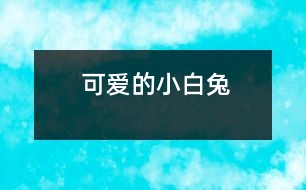 可愛(ài)的小白兔