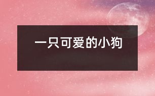 一只可愛(ài)的小狗