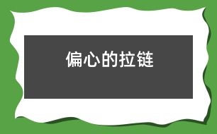 偏心的拉鏈