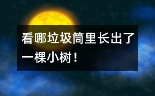 看哪垃圾筒里長出了一棵小樹！